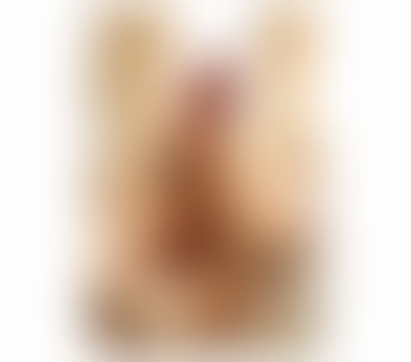 Escorts Hereford County of Herefordshire - Photos for New service quality here🔜🔝🔜Elisa 🔴🔞
