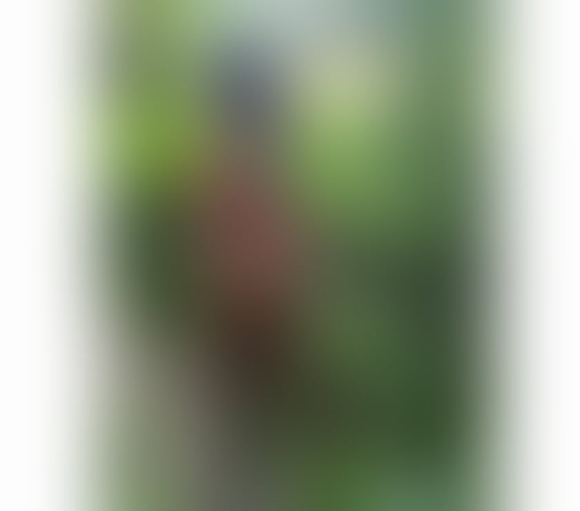Transsexual Ingrave Brentwood - Photos for Laysa Brazilian
