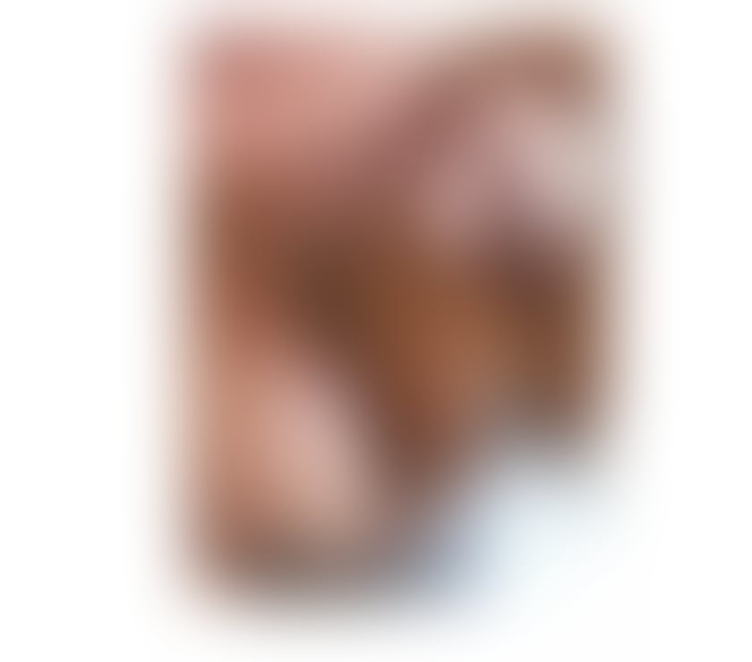 Trans Escorts West Midlands Birmingham - Photos for TS Luana Souza HOT