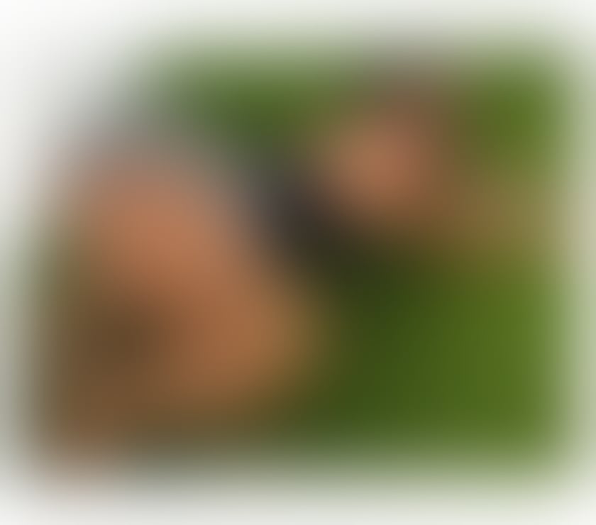  Escorts Dagenham Barking and Dagenham - Photos for 🔥🧨SEXY HOT LATINA🔥🧨