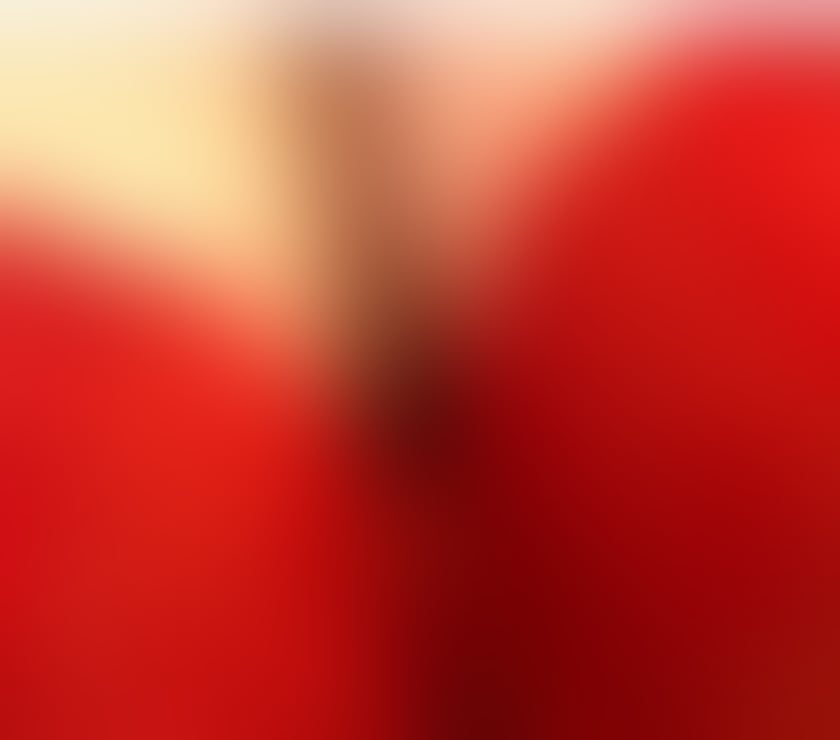 Escorts Lancashire Preston - Photos for Busty British Ellie x