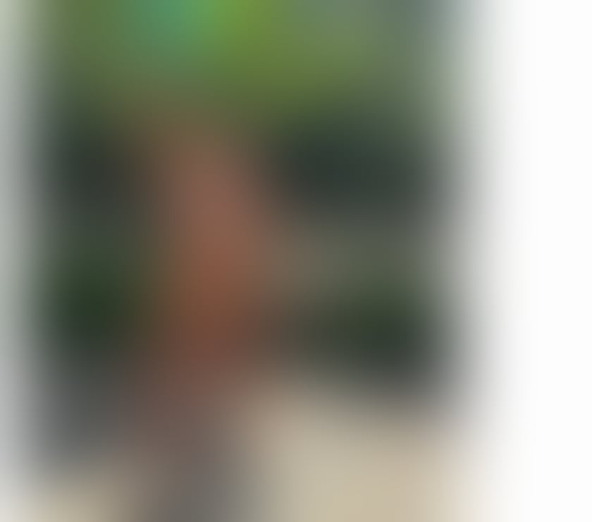Escorts Hertfordshire Hertsmere - Photos for INCALLS and OUTCALLS