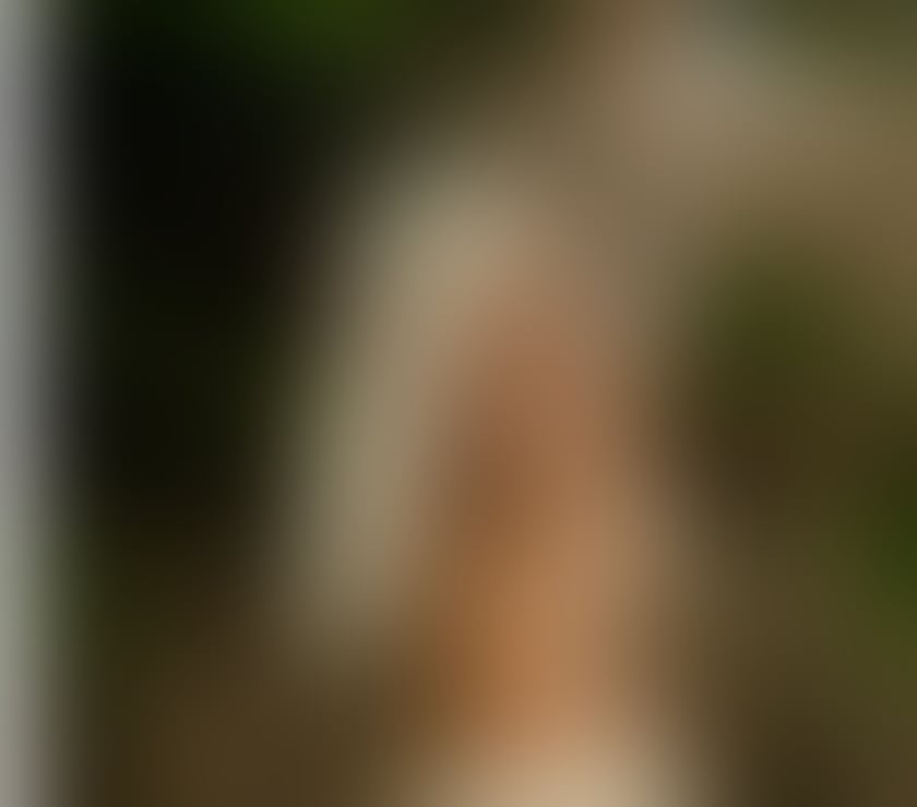 Escorts Dorset Bournemouth, Christchurch and Poole - Photos for Sexy Brazillian Sofia 👿🇧🇷 First time in UK