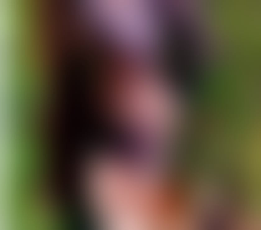 Escorts Derbyshire Derby - Photos for Regina Young and busty
