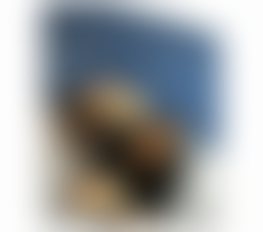 Escorts Hull Saint Andrew`s - Quay Hull - Photos for Ella new in your town