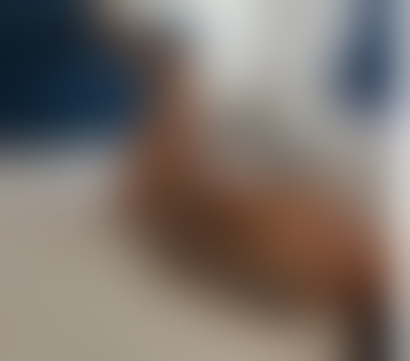 Escorts Plaistow East London - Photos for NEW PARTY GIRL 🥳IN THE TOWN 💯REAL PICTURES💯