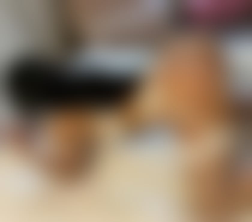 Escorts Belfast City Centre (South) Belfast - Photos for New Town call me available for incall outcall