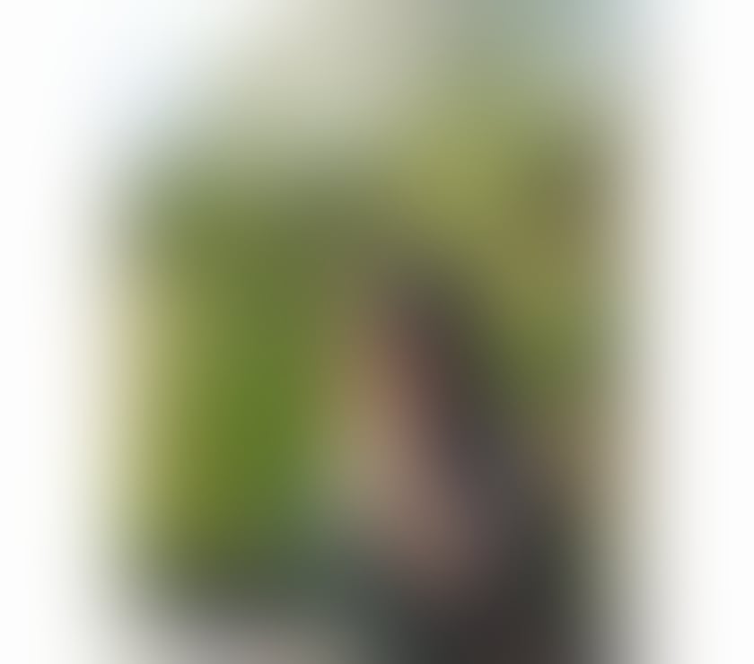 Escorts Edgware Barnet - Photos for £40 ONLY 🔥 NEW MELISSA FOR YOU 🇧🇷 EDGWARE HA8