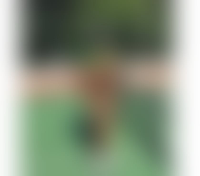 Escorts Slough Slough Town Centre - Slough - Photos for BIG BOTTOM BRAZILIAN TAINA 🇧🇷🇧🇷🍑🍑