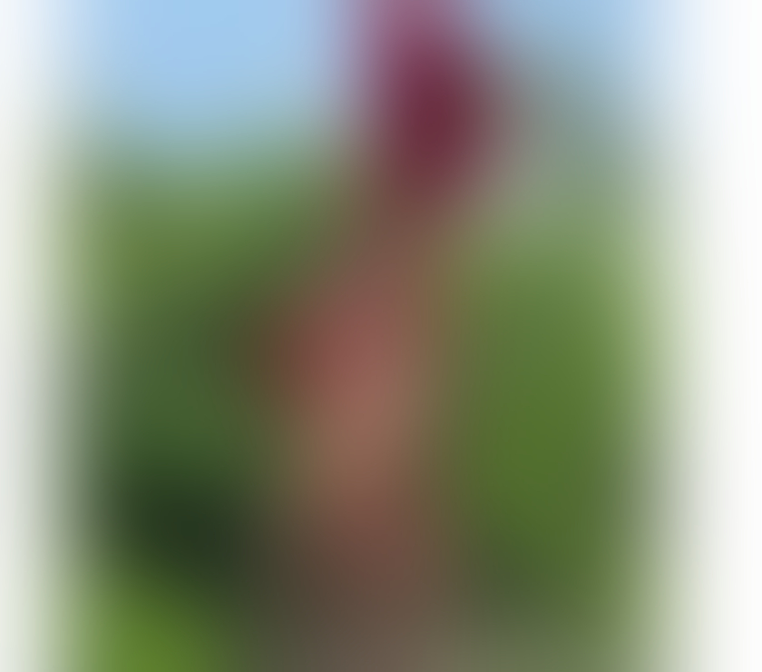 Trans Croydon Town Centre Croydon - Photos for India milkmaid of pleasure