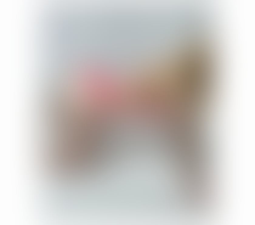 Escort Boston West Boston - Photos for Angy🧡Slim blonde🧡NO RUSH❗️