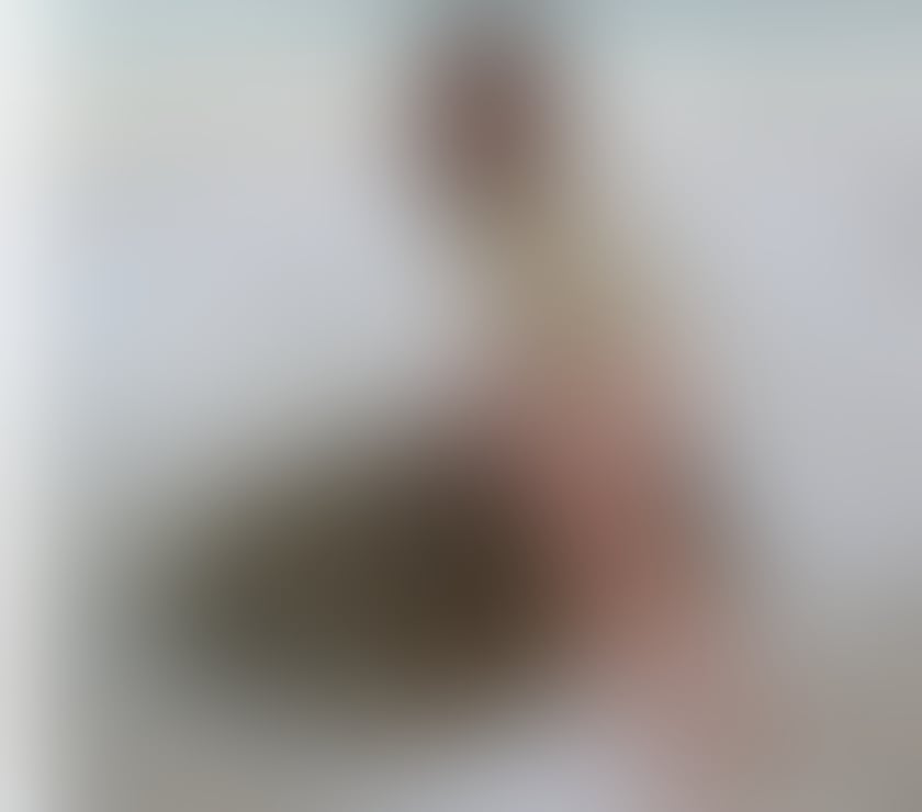 Escorts and Massages Leeds City Centre Leeds - Photos for Great erotic massage in Leeds