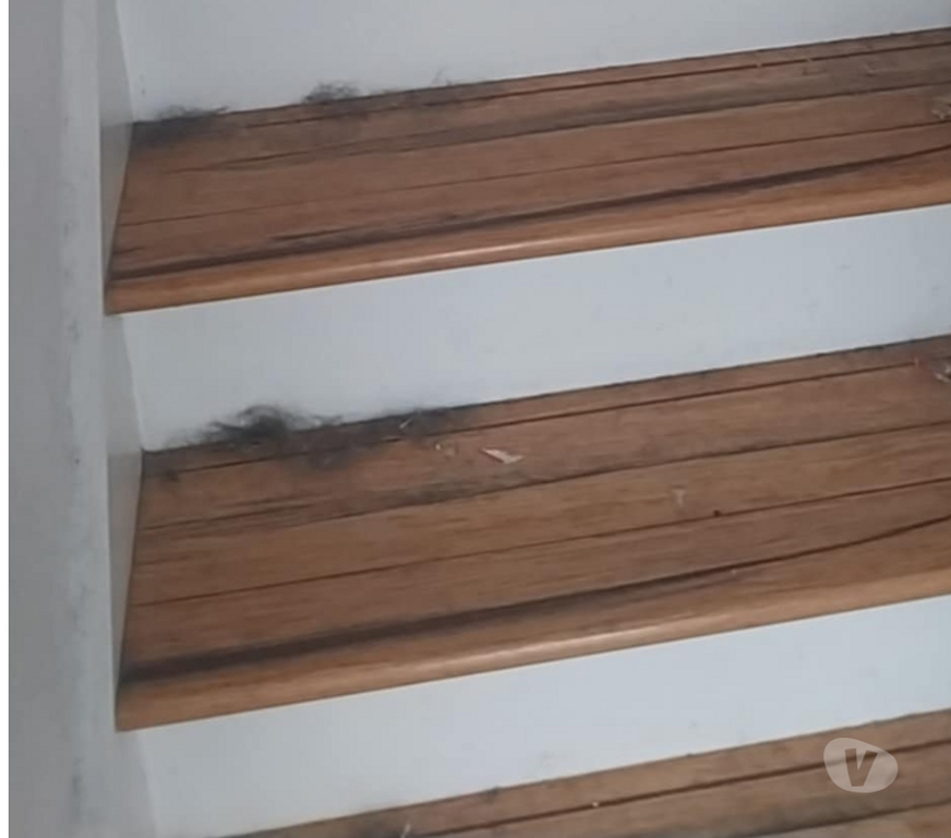 Housekeeping & Cleaning Leicestershire Leicester - Photos for Professional cleaning