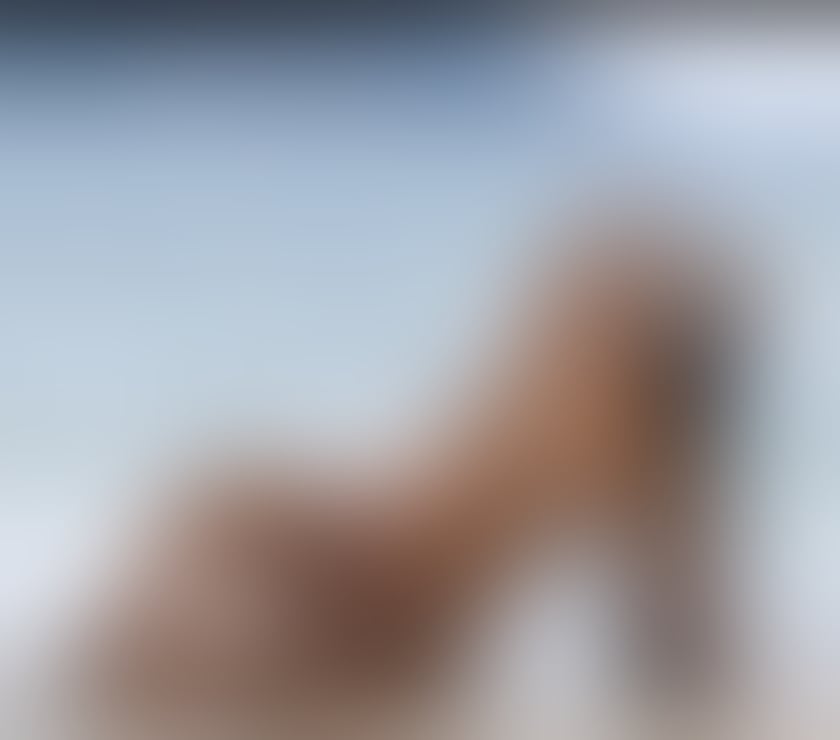 Escorts Wiltshire Swindon - Photos for KAROL - BRAZILIAN 💯REAL
