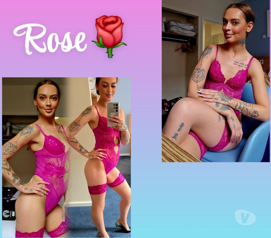 Escorts South Yorkshire Sheffield - Photos for English Rose 🌹 07300647789
