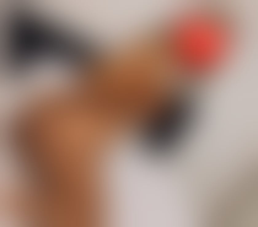 Escorts Leicestershire Charnwood - Photos for Maya party girl ♥️♥️♥️