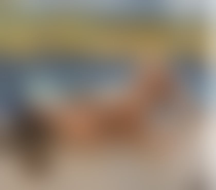 Escorts South East London Bromley - Photos for 📍NEW IN TOWN| BR1| ALEXA❤️🔥🌶️