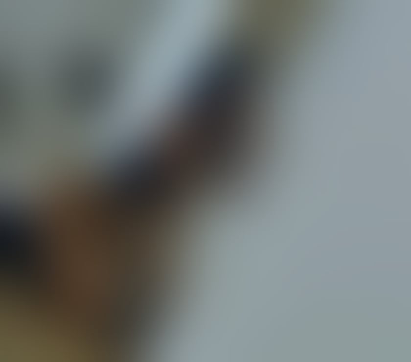 Escorts West Northamptonshire Northampton - West Northamptonshire - Photos for Bianca PARTY GIRL O.w.O kissing just outcall