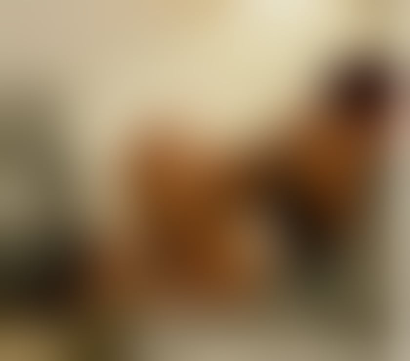 Escorts South East London Camberwell - South East London - Photos for 🍑 BOMBON Caribbean🍑The best OWO 🍭😈