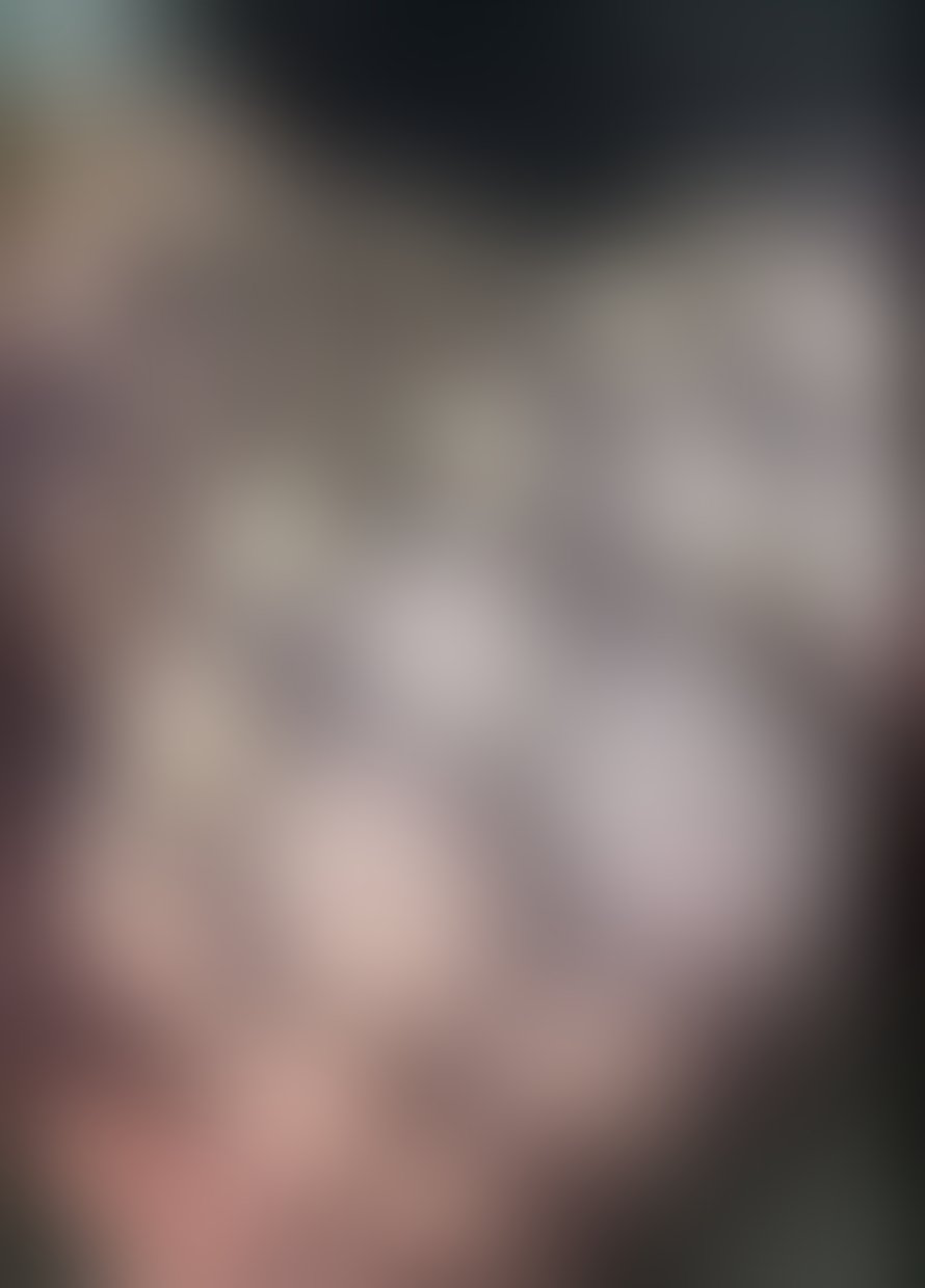 Escorts North London Northumberland Park - North London -