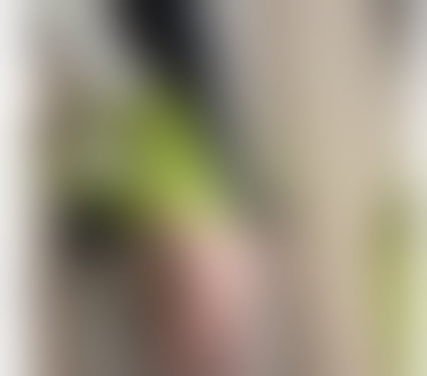 Escorts Tyne and Wear Newcastle upon Tyne - Photos for Class elegant & charming lady,