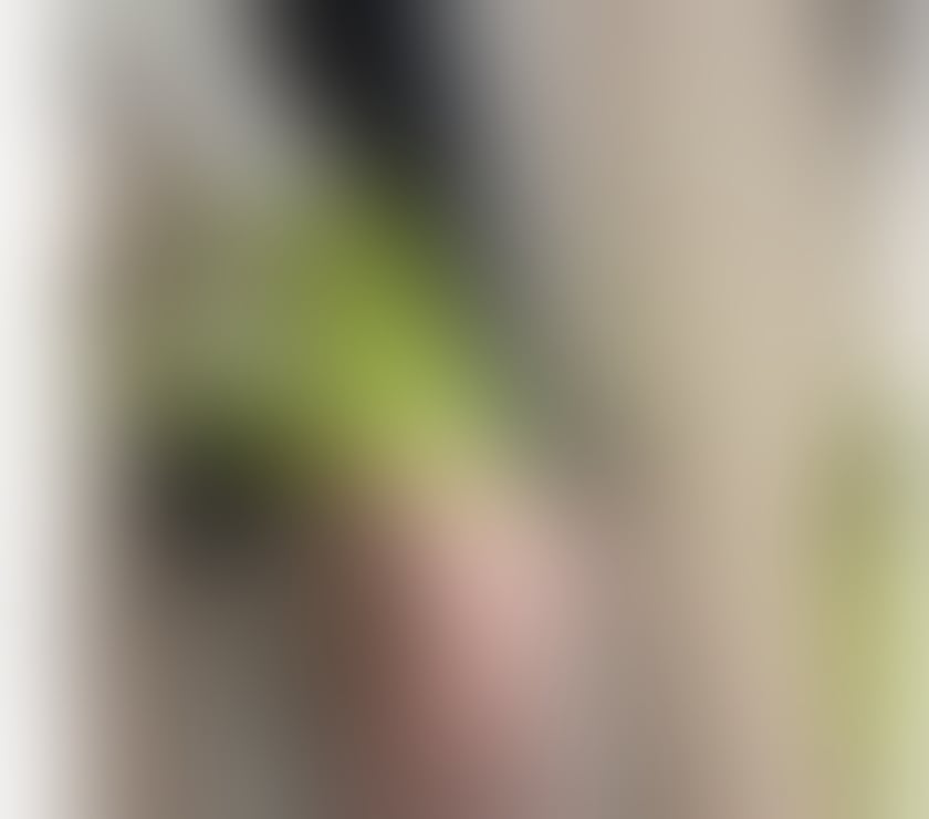Escorts Cumberland Sunderland - Cumberland - Photos for Class elegant & charming lady,Only outcall