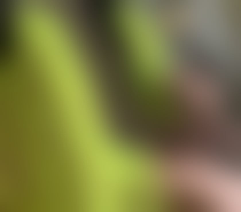 Escorts County Durham Durham - County Durham - Photos for Class elegant & charming lady,Only outcall