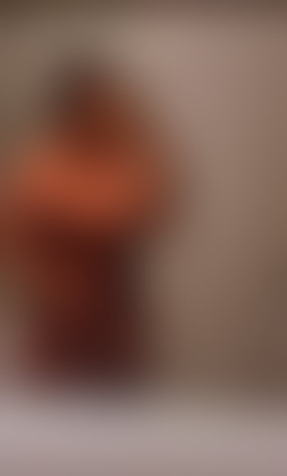 Escorts South Yorkshire Barnsley - 