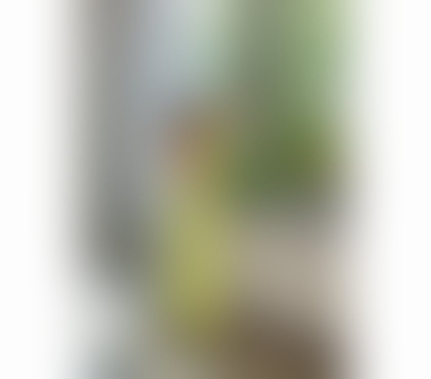 Escorts Cambridgeshire Cambridge - Photos for Brazilian brunette 🧡💛🧡