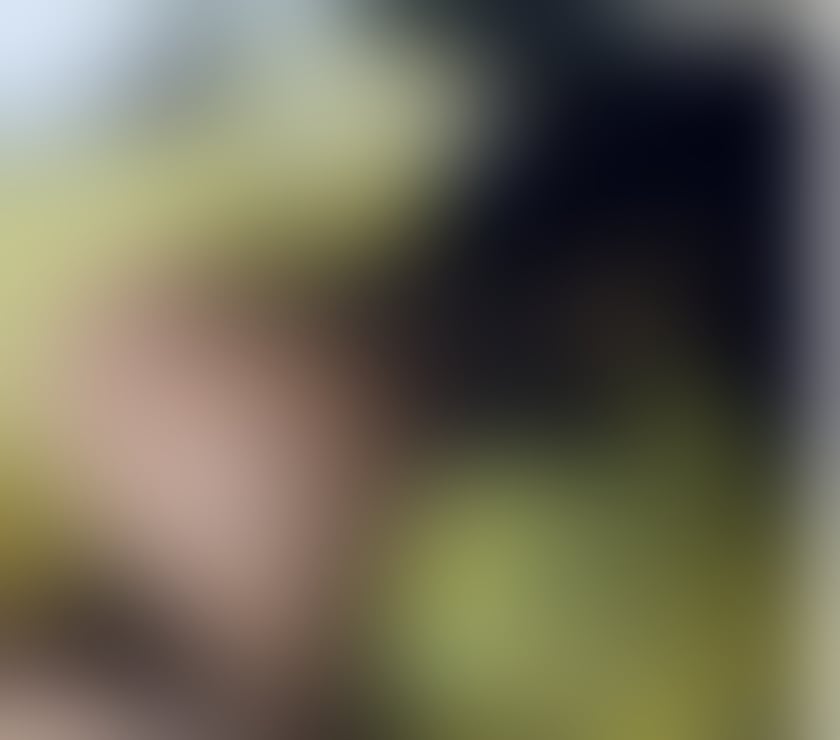 Escorts Somerset Bridgwater - Somerset - Photos for Top escort🔝NEW IN TOWN JUST 2 days💦🔥🎉