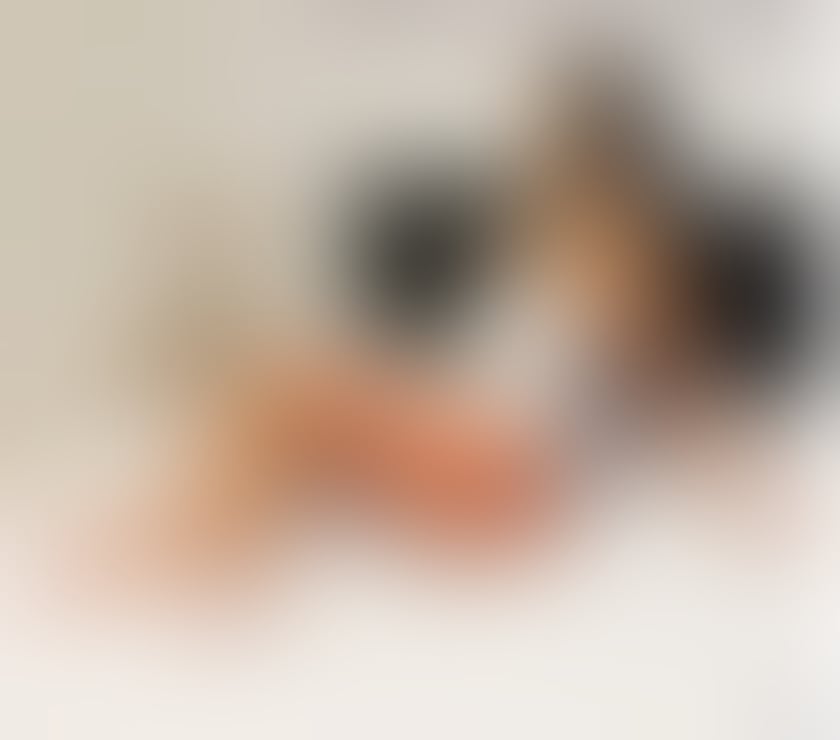 Escorts Bedfordshire Bedford - Photos for 🌟 LUXURY ESCORT 🌟 GENUINE PICTURES 🌟