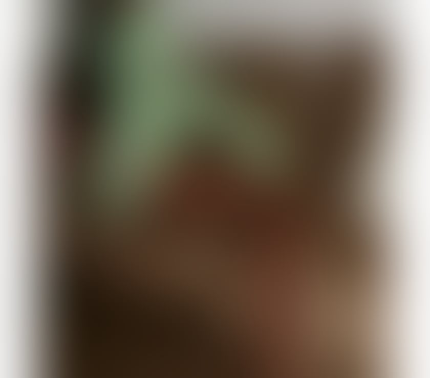 Escorts Merseyside Liverpool - Photos for Sexy black barbie coco BEST blown job L9