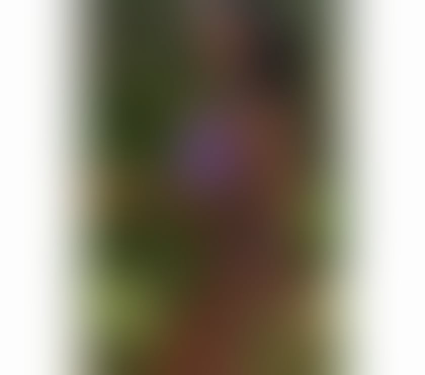 Escorts Merseyside Liverpool - Photos for Sexy black barbie coco BEST blown job L9
