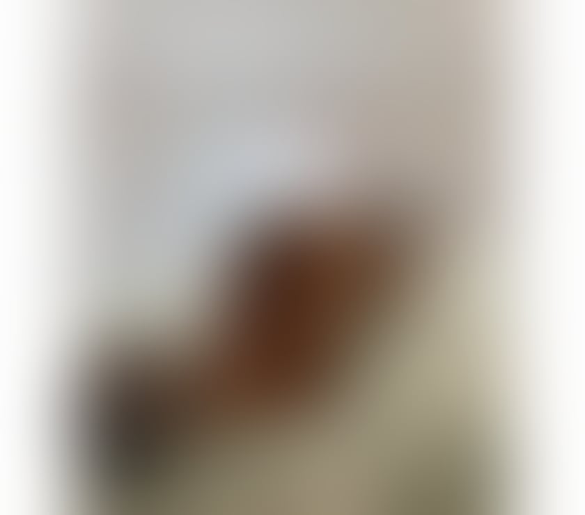 Avora Doll | Sweet British GFE 💋 OWO & Kisses