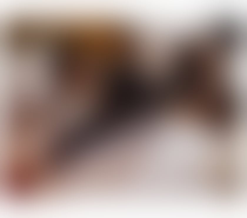 Escorts West Midlands Wolverhampton - Photos for Raysa 🎀 New in Town🥂 Nice party 🥳