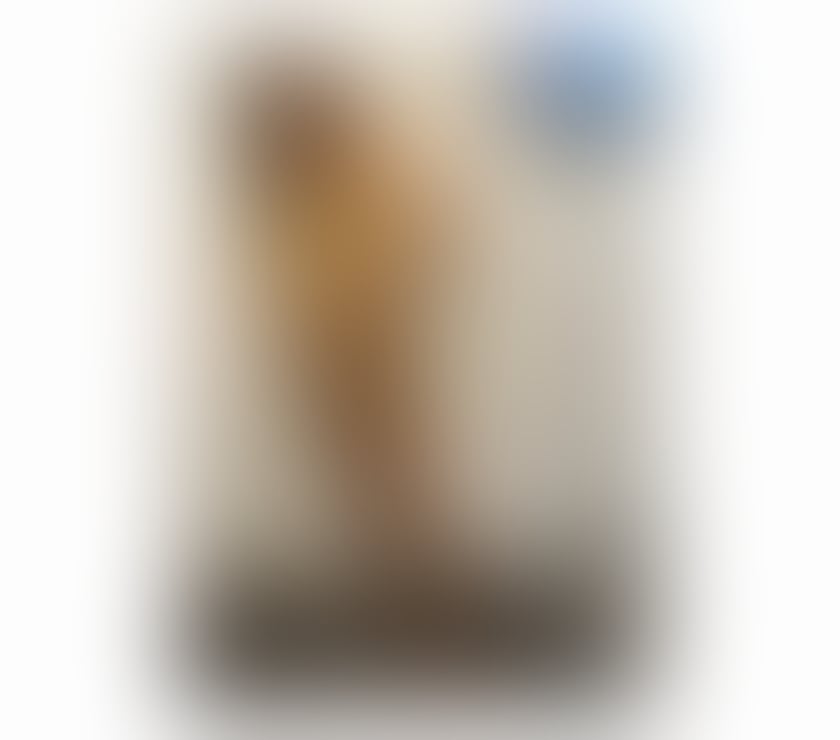 Escorts North West London Cricklewood - North West London - Photos for Out call nice Sabrina party girl