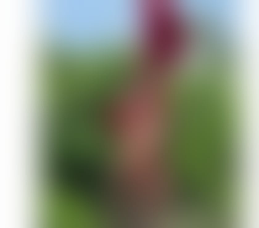 Transsexual Slough Town Centre Slough - Photos for Milk India of pleasure