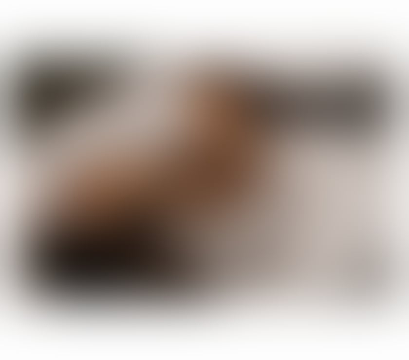Escorts North West London Harrow - Photos for CASSANDRA BRAZILIAN GIRL PICTURES 100% REAL
