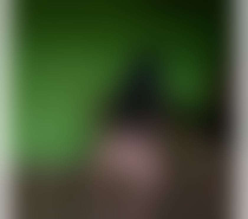 Escorts Wiltshire Swindon - Photos for FOTOS DE DOMINAÇÃO BRASILEIRA QUENTE 🇧🇷 100% REAL