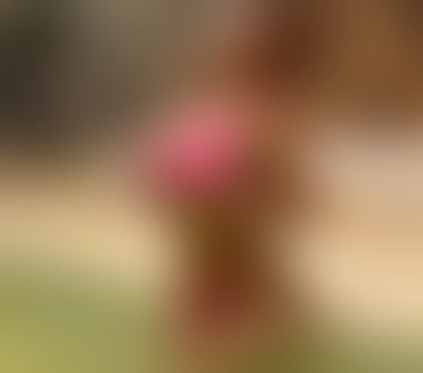 Escorts Hull Hull City Centre - Hull - Photos for LUANA BRAZILIAN BEST GIRLFRIEND EXPERIENCE✅🔞