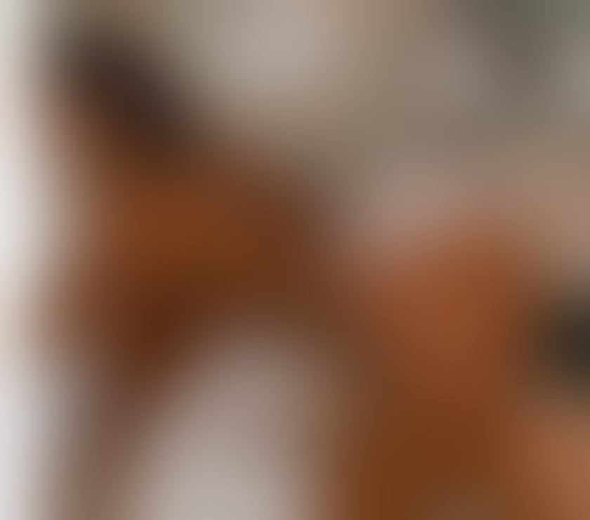 Escorts West Midlands Wolverhampton - Photos for DIANNA❤️ BIG ASS 😝 SWEET AFRICANN