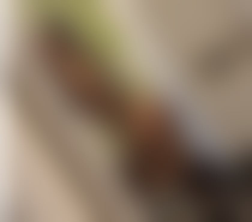 Escorts Edinburgh Craigentinny - Edinburgh - Photos for SEXY💥NAUGHTY🔥PLAYFULL GIRL💯NO RUSH