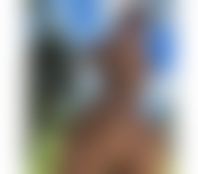 Escorts Swansea - Wales Swansea City Centre - Swansea - Photos for 🇧🇷 EMILY💋 Soft Skin, Come Find Out 😘🇧🇷
