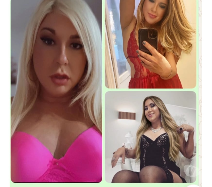 Escorts Worcestershire Worcester - Photos for WANESSA TRANSEX HOT - SHEMALE