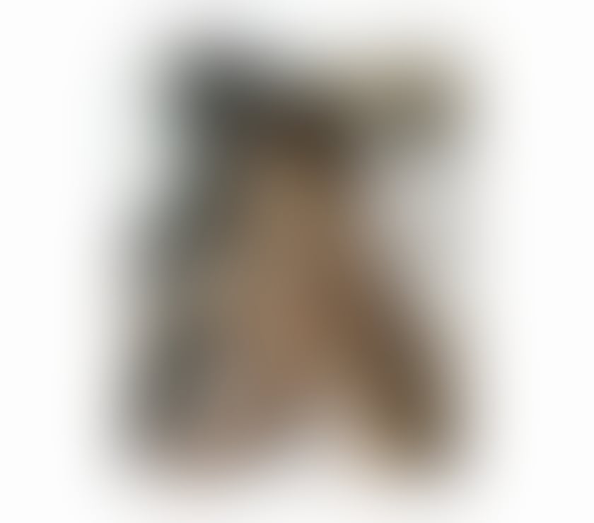 Escorts West Midlands Wolverhampton - Photos for LOUISA❤No RUSH❤ Best bj🍑❤BACK IN TOWN❤