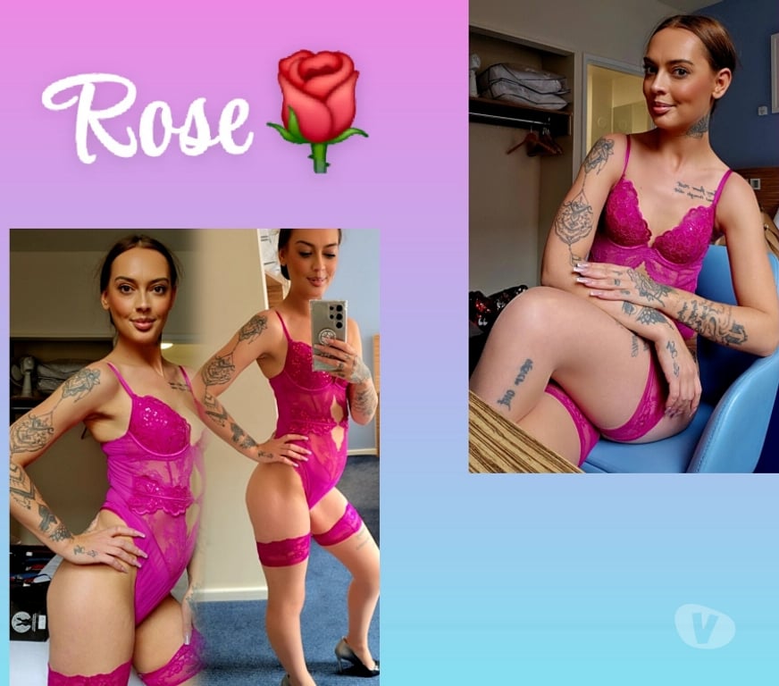 Escorts West Yorkshire Leeds - Photos for Petite English Rose 🌹 07300647789