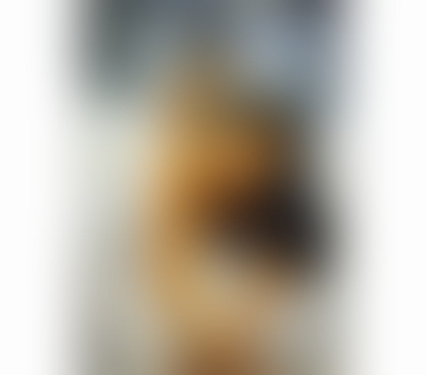Trans Escorts South East London Croydon - Photos for TS Yasmin Very TOP and Bottom in Croydon