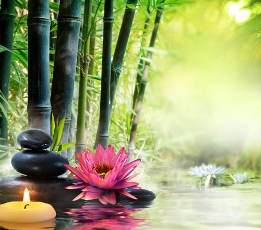 Escorts Greater Manchester Manchester - Photos for Relaxing Thai Massage ❤️ Manchester M3