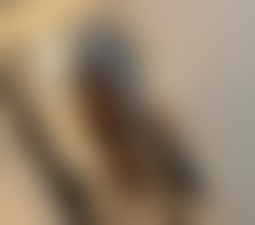 Trans Escorts North London Manor House - North London - Photos for NEW BRAZILIAN TS IN TONW 9.0 INCHES π₯π
