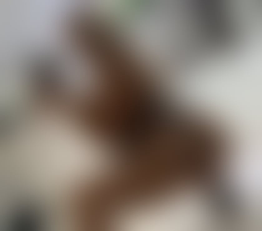 Escorts Lancashire Preston - Photos for New vip babe în town❤️🙈